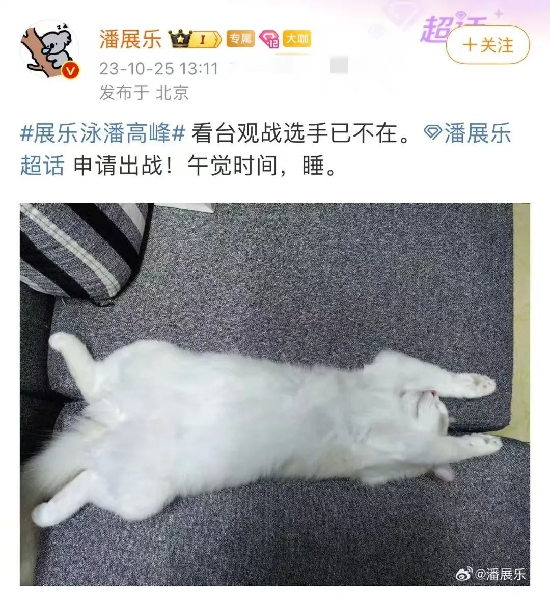 潘展乐：嘲讽和欢呼，在水里都听不见