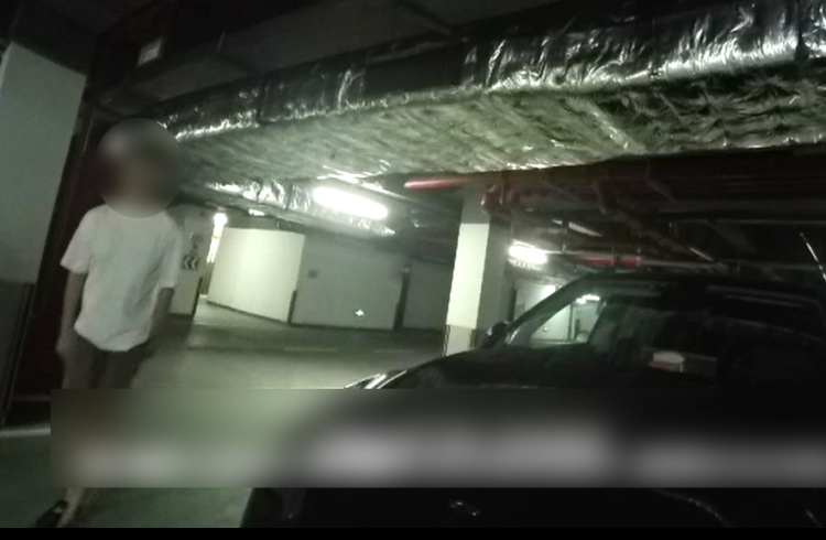 拘留！杭州临安一男子为进小区停车竟套用邻居车牌