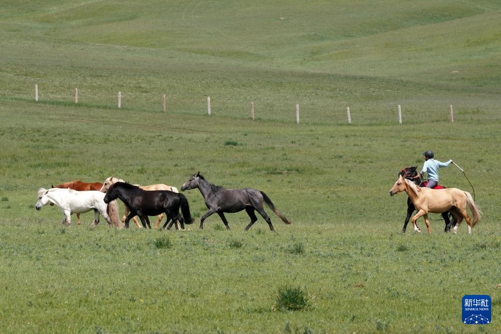 牧马祁连 延绵千年