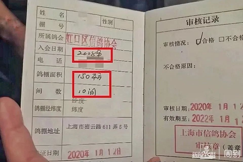 几百只鸽子养在楼顶，小区居民苦不堪言16载