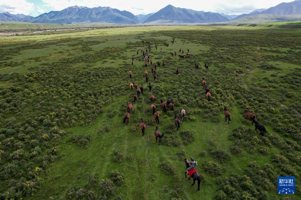 牧马祁连 延绵千年