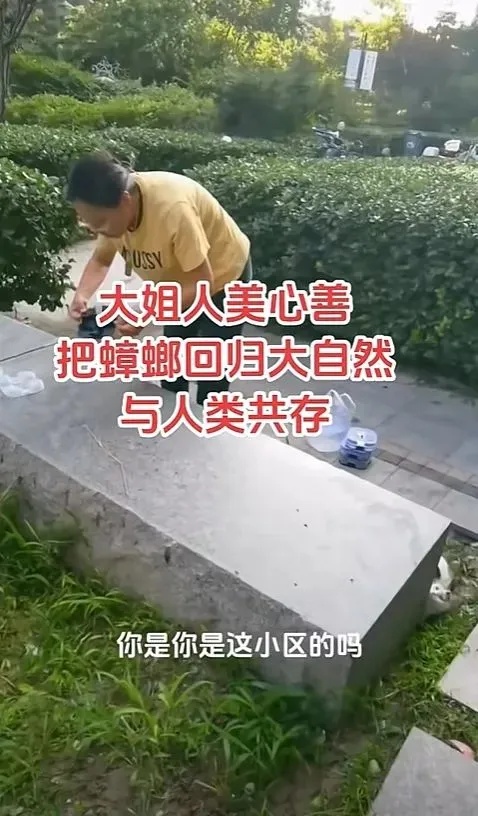 头皮发麻！女子在小区“放生蟑螂”！网友：活久见