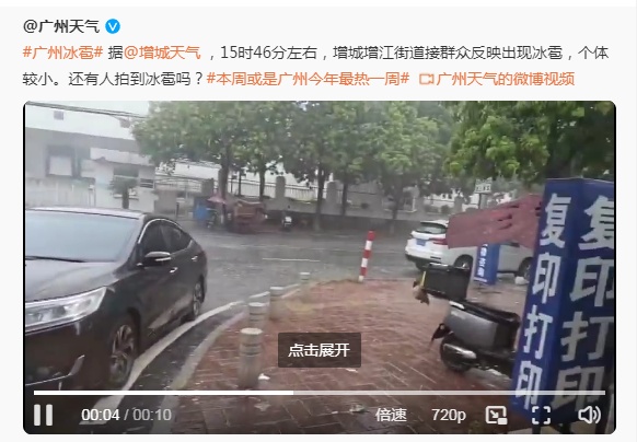 密密麻麻!大量黑虫冒出,原来是…… 密密麻麻!大量黑虫冒出,原来是……