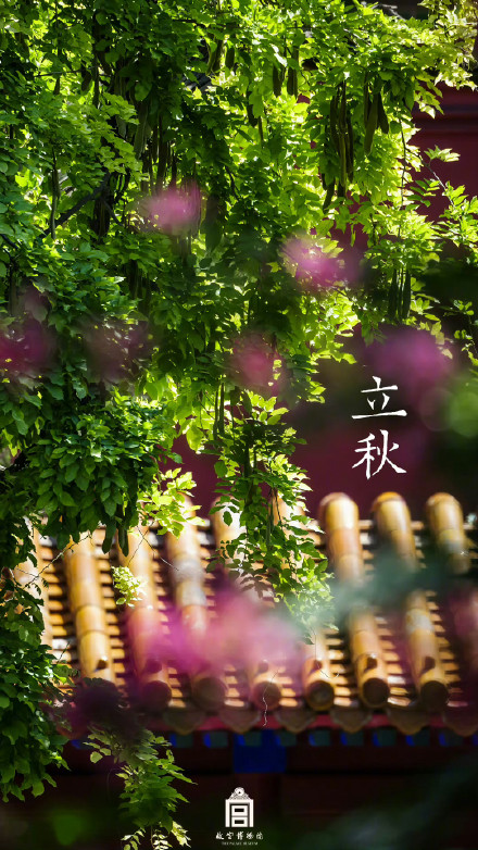 壁纸来了！故宫遇上立秋