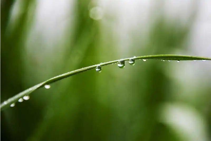 今日立秋 | 夏日浮躁终将云淡风轻,你看,不知不觉间,秋来了 今日立秋 | 夏日浮躁终将云淡风轻,你看,不知不觉间,秋来了