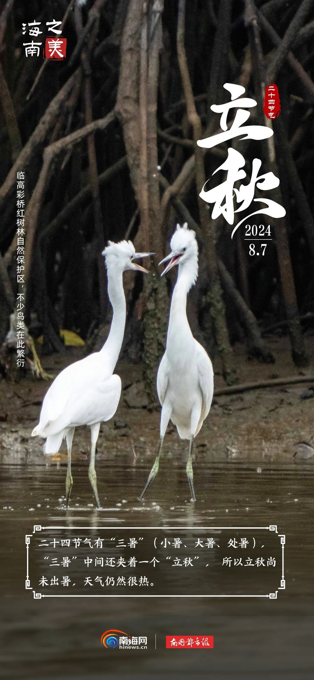 今日立秋 | “秋老虎”上线，海南这群“朋友”是懂避暑的