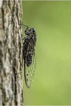 今日立秋 | 夏日浮躁终将云淡风轻,你看,不知不觉间,秋来了 今日立秋 | 夏日浮躁终将云淡风轻,你看,不知不觉间,秋来了