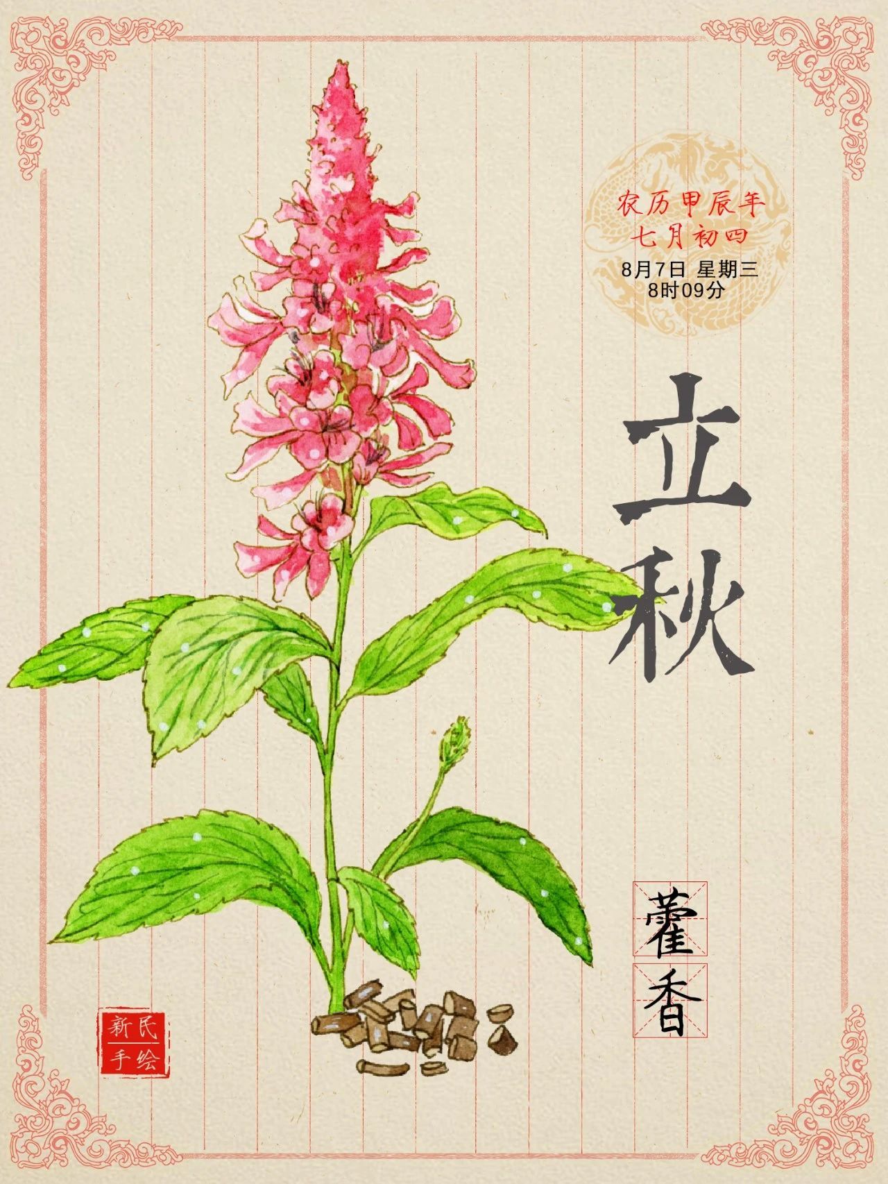 立秋 | 秋来伏未去！快试试这味中药，健脾祛湿又解暑！