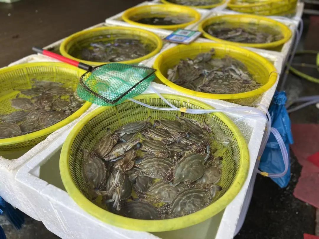 近百元一斤？快速下跌！浙江有市场一天卖出15万斤，台州的情况是...