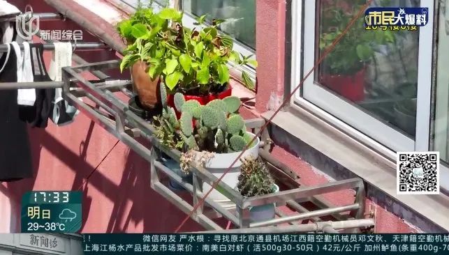 飞来横祸！新车竟被砸成这样，女子急煞：谁来买单？