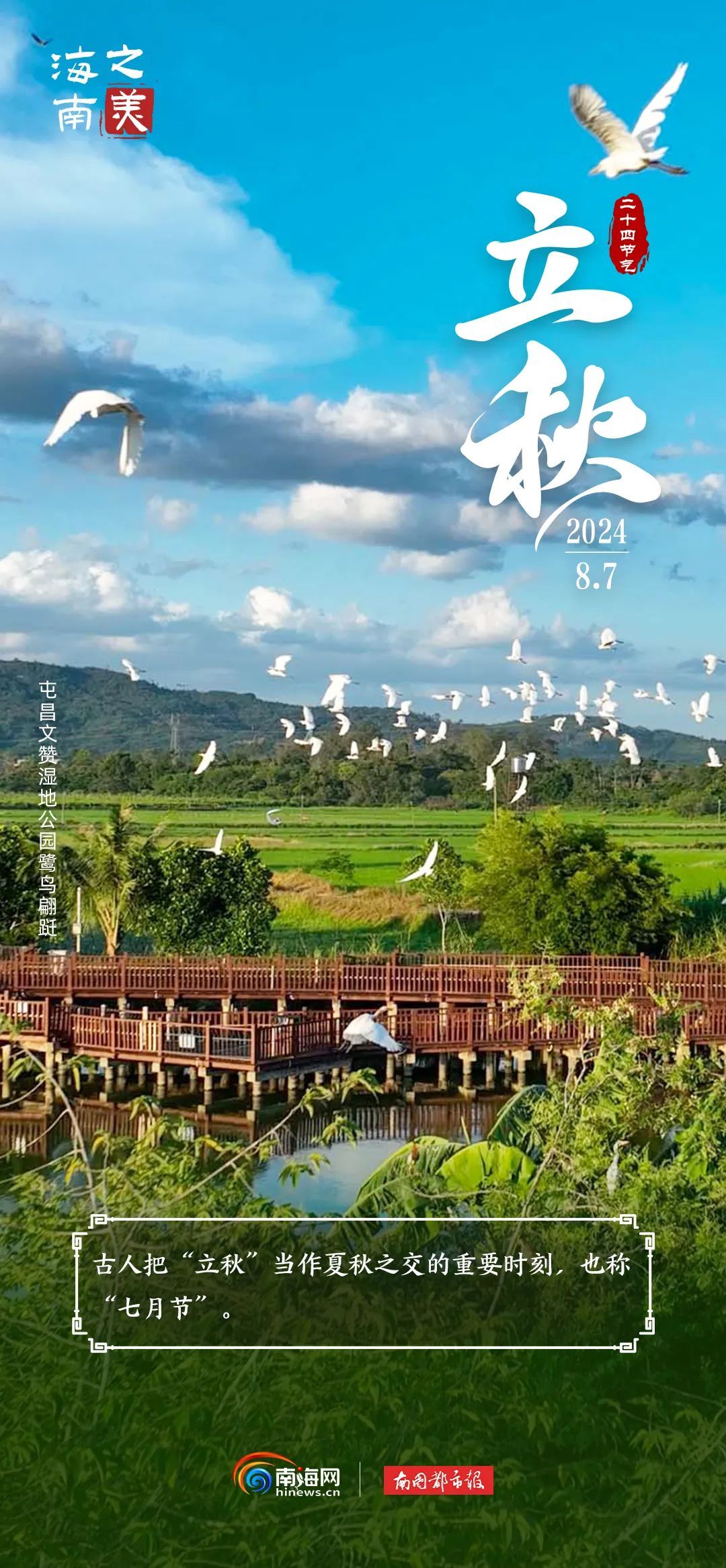 今日立秋 | “秋老虎”上线，海南这群“朋友”是懂避暑的