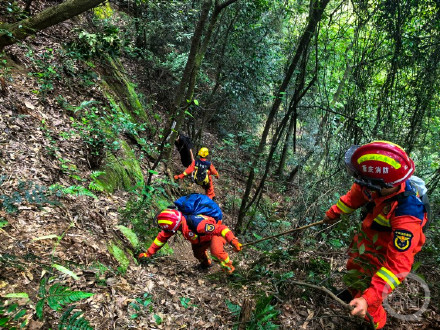 男子夜爬缙云山迷路被困悬崖半坡处