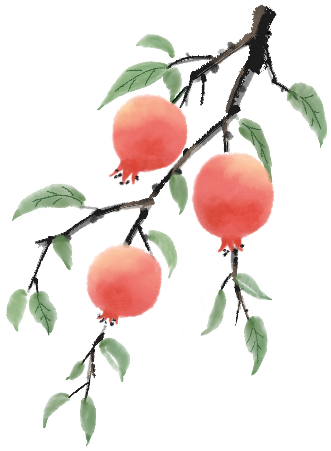 叮！秋天的第一篇推文已送达，请查收