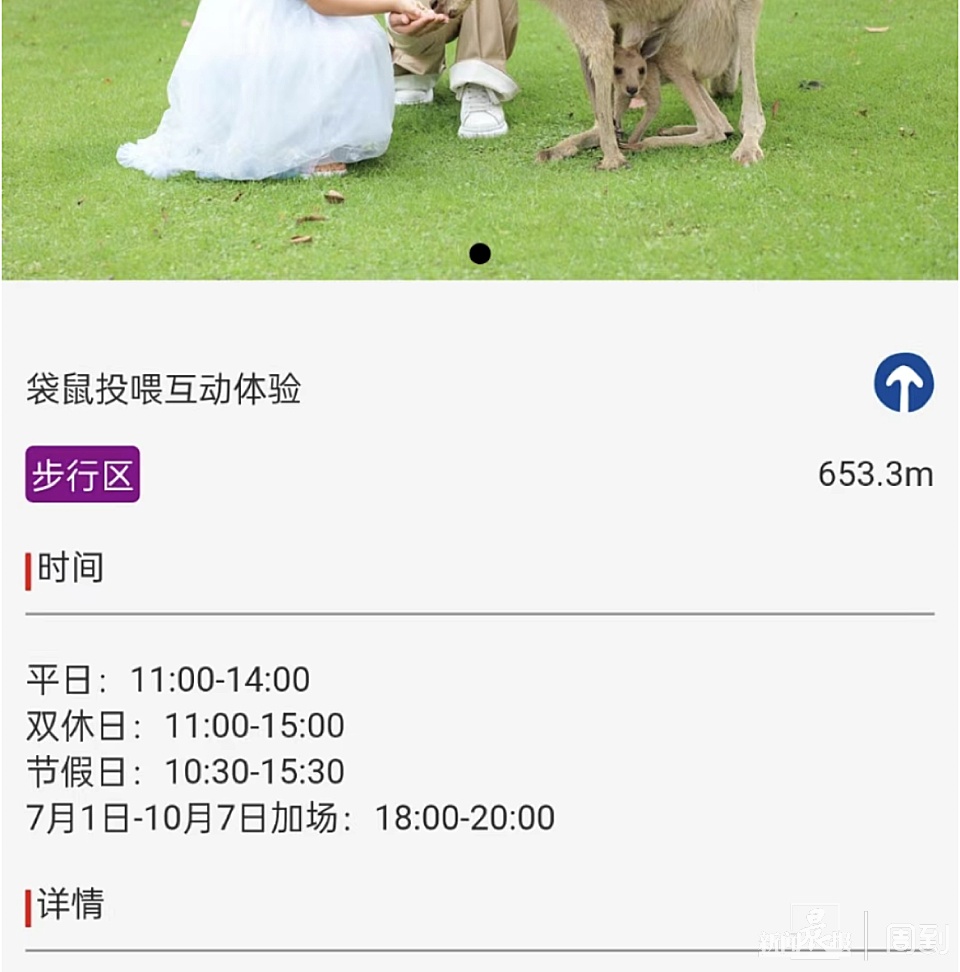 游客在野生动物园被袋鼠揍了？园方：确有发生