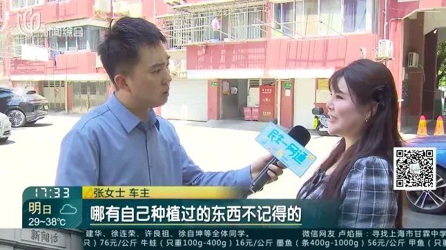 飞来横祸！新车竟被砸成这样，女子急煞：谁来买单？