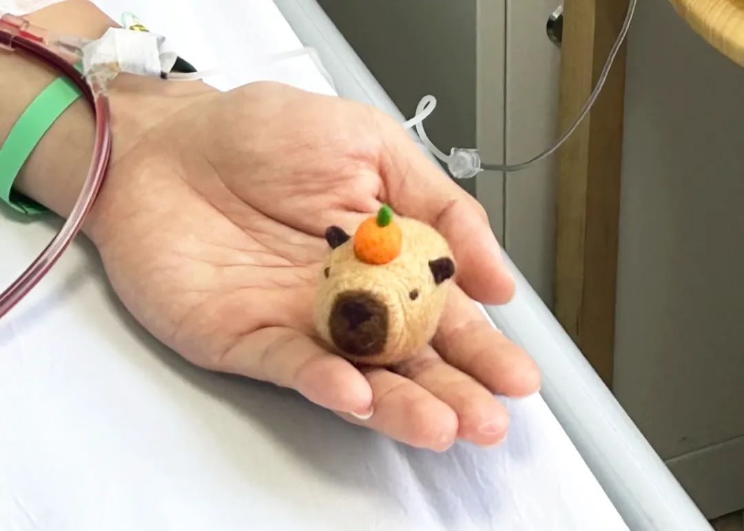 “90后”交警为救人，躺在医院时做了个“卡皮巴拉”