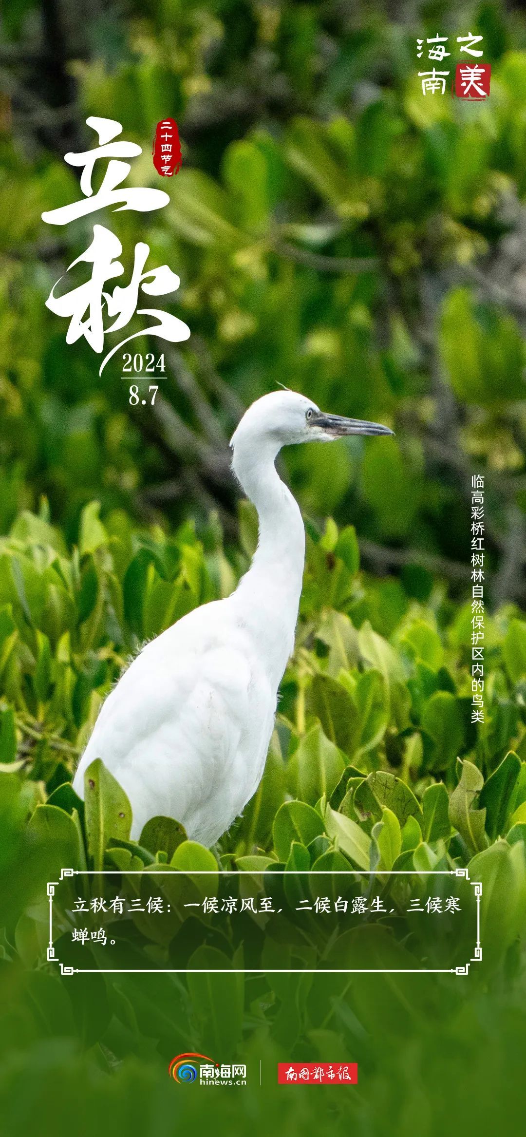 今日立秋 | “秋老虎”上线，海南这群“朋友”是懂避暑的