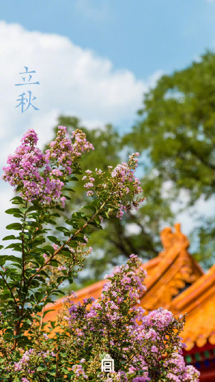 壁纸来了！故宫遇上立秋