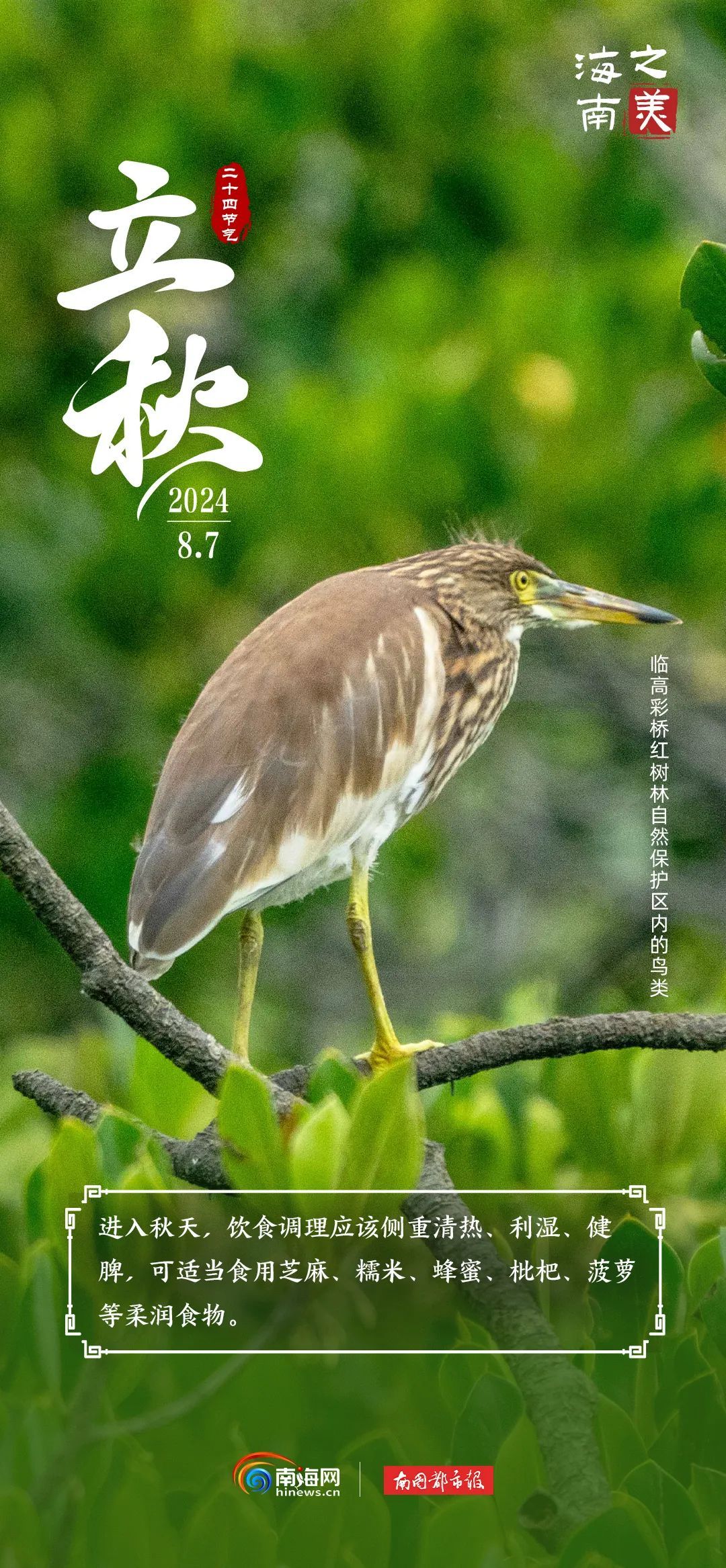 今日立秋 | “秋老虎”上线，海南这群“朋友”是懂避暑的