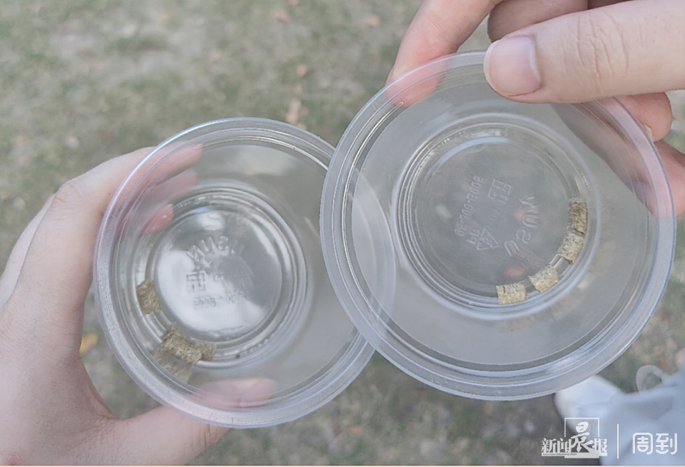 游客在野生动物园被袋鼠揍了？园方：确有发生