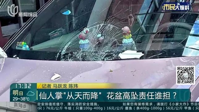 飞来横祸！新车竟被砸成这样，女子急煞：谁来买单？