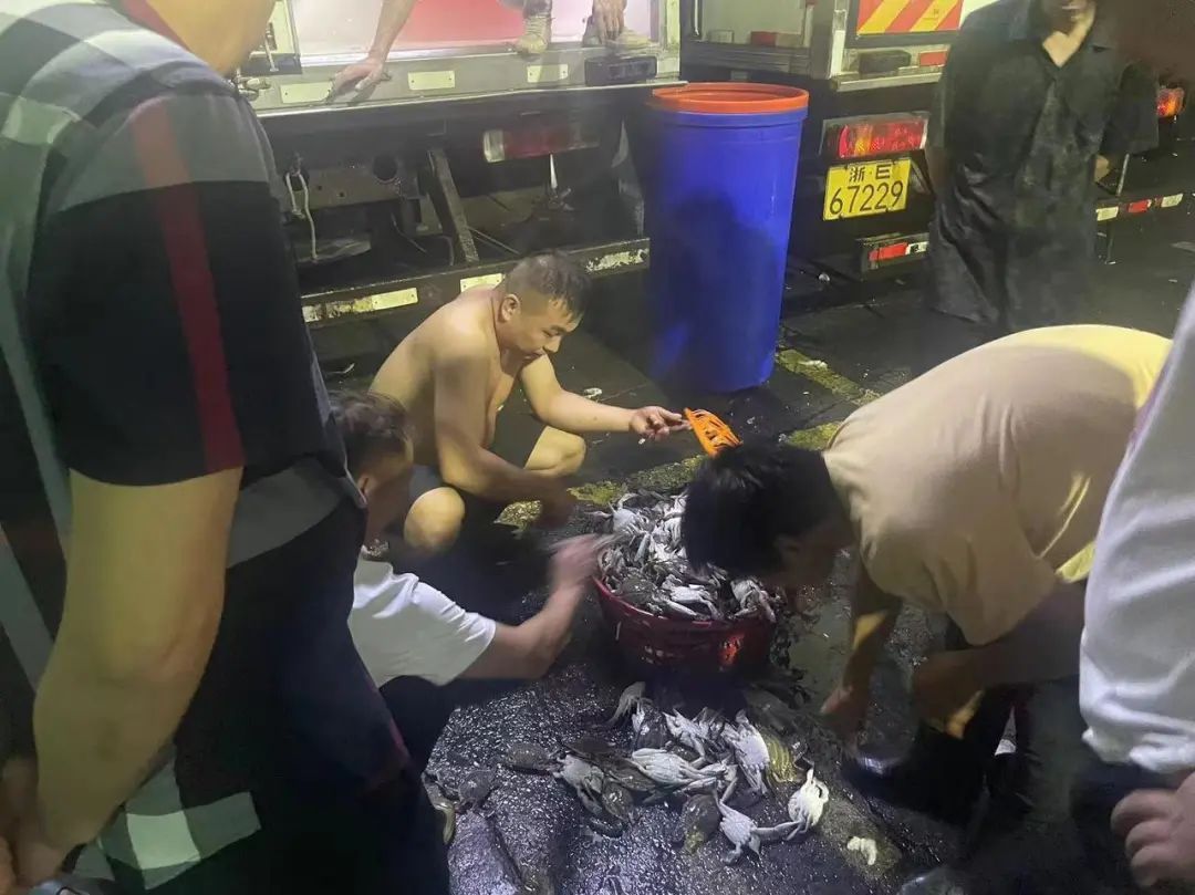 近百元一斤？快速下跌！浙江有市场一天卖出15万斤，台州的情况是...