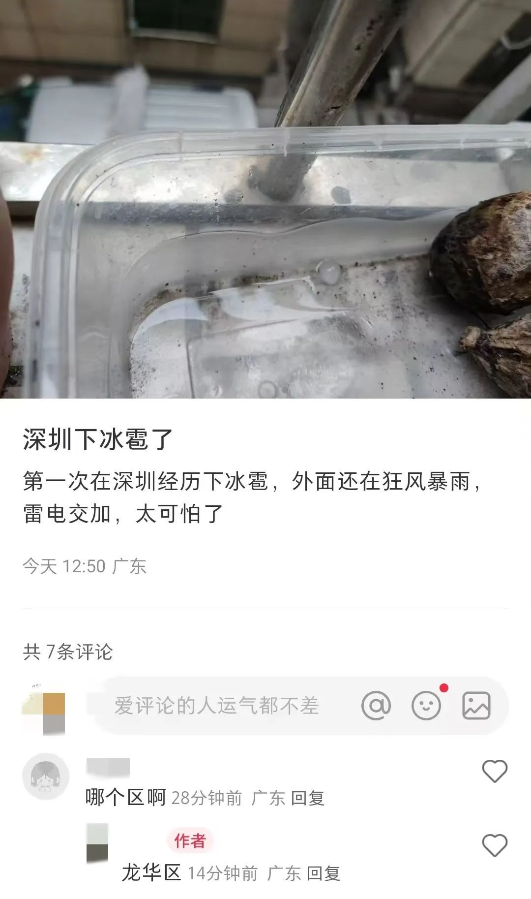 密密麻麻!大量黑虫冒出,原来是…… 密密麻麻!大量黑虫冒出,原来是……