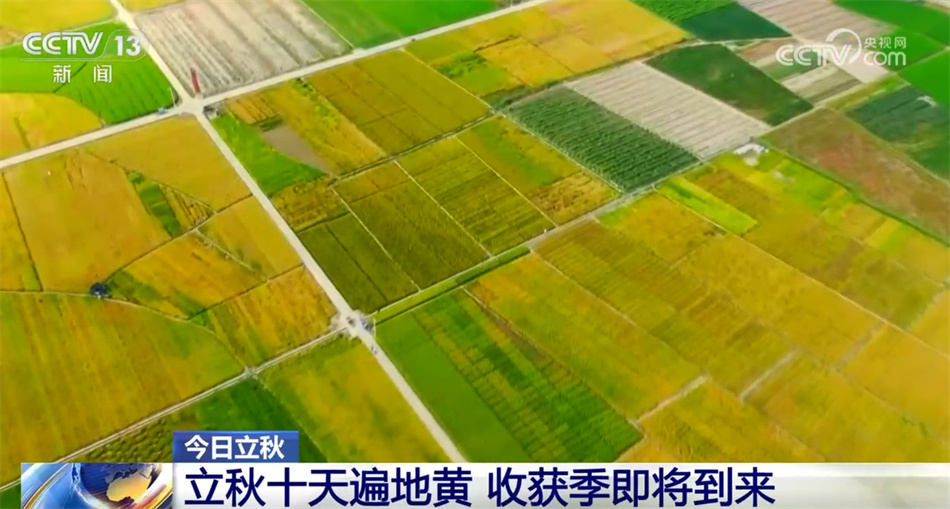 立秋时节农作物生长旺盛 全国从南到北将绘就田野好“丰”景 立秋时节农作物生长旺盛 全国从南到北将绘就田野好“丰”景