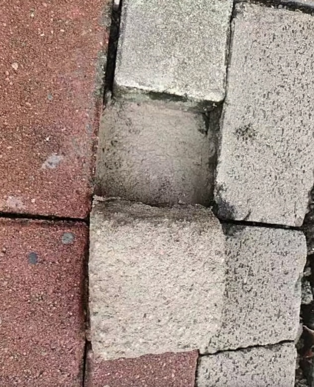 14岁男生示范“教科书式维权”，网友：“向小孩哥学习！”