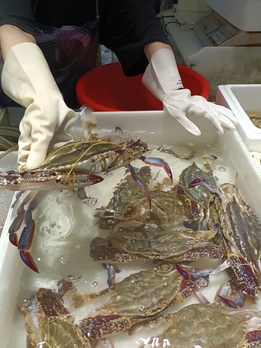 近百元一斤？快速下跌！浙江有市场一天卖出15万斤，台州的情况是...