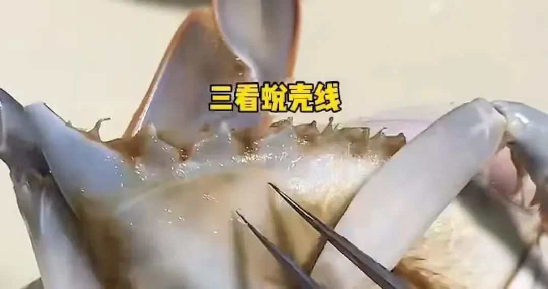 近百元一斤？快速下跌！浙江有市场一天卖出15万斤，台州的情况是...