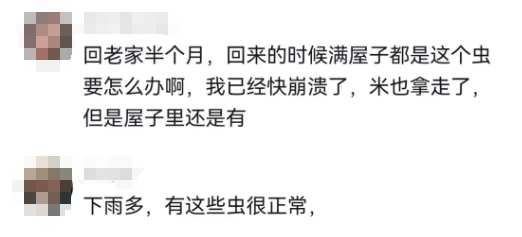 头皮发麻！米袋爬满这种生物还能吃吗？专家：出现这种情况必须扔