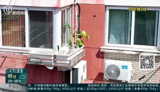 飞来横祸！新车竟被砸成这样，女子急煞：谁来买单？