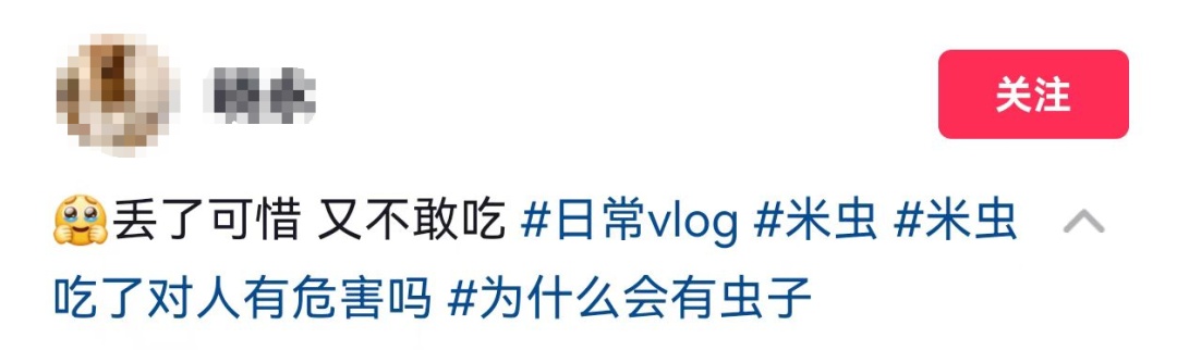 头皮发麻！米袋爬满这种生物还能吃吗？专家：出现这种情况必须扔