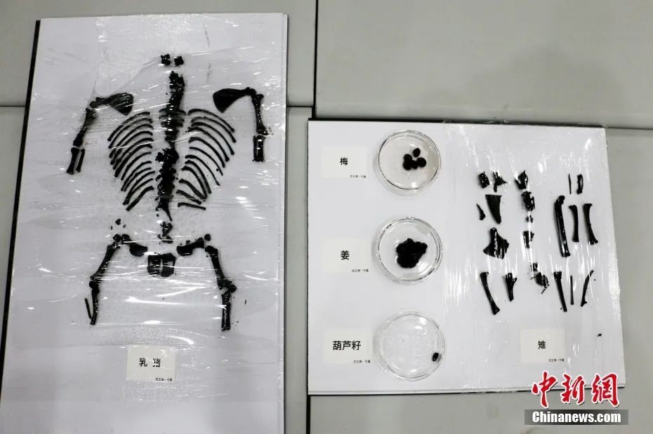 武王墩墓与楚文化有何渊源? 武王墩墓与楚文化有何渊源?