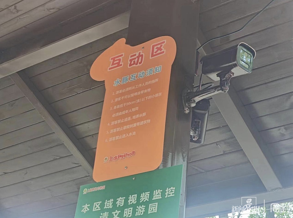 游客在野生动物园被袋鼠揍了？园方：确有发生