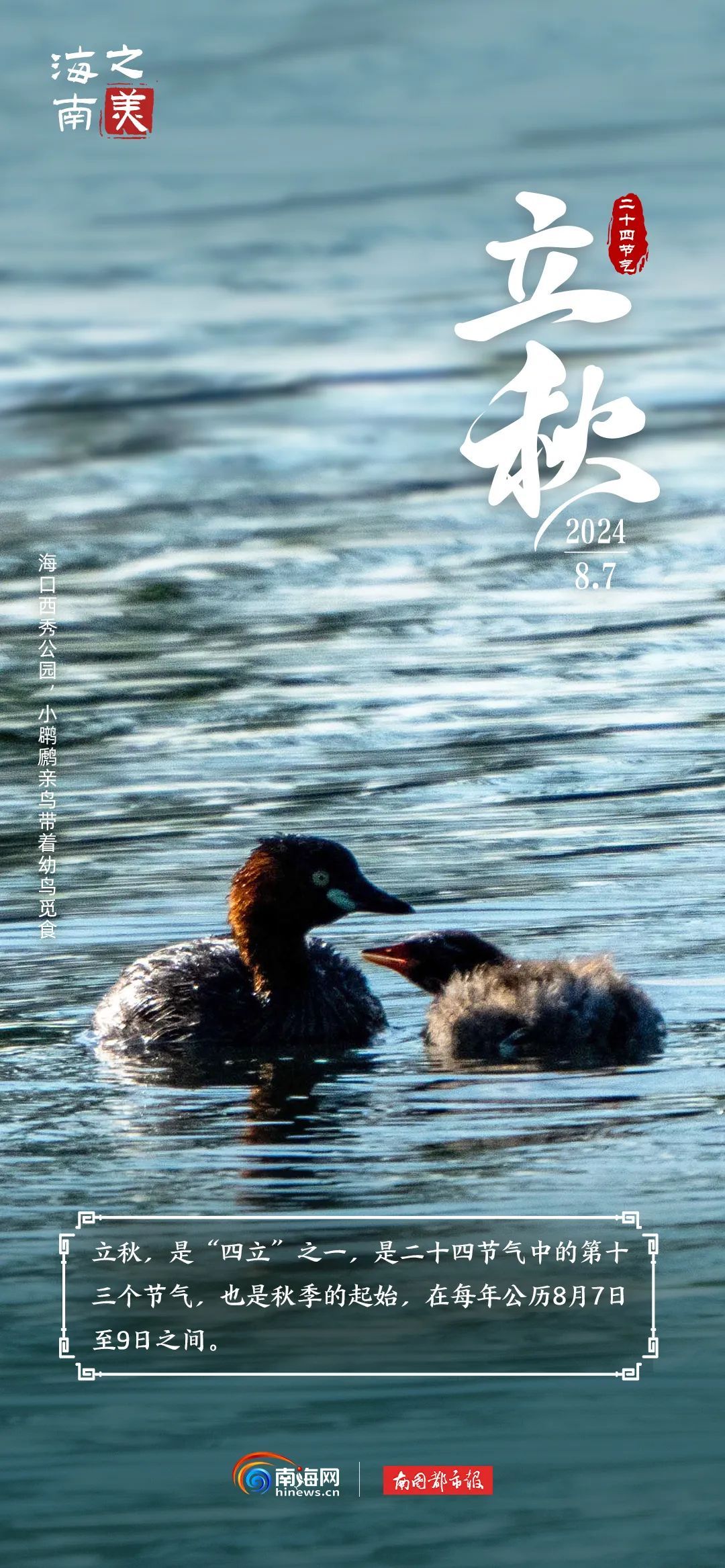 今日立秋 | “秋老虎”上线，海南这群“朋友”是懂避暑的