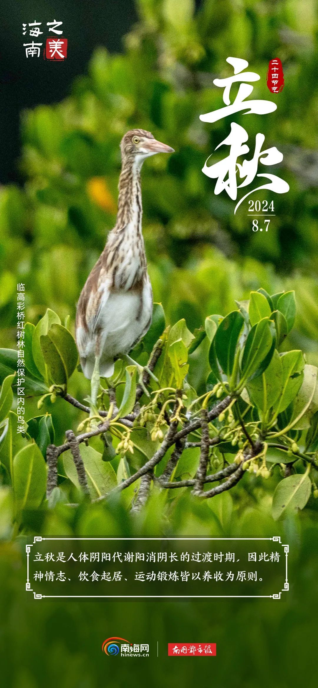 今日立秋 | “秋老虎”上线，海南这群“朋友”是懂避暑的
