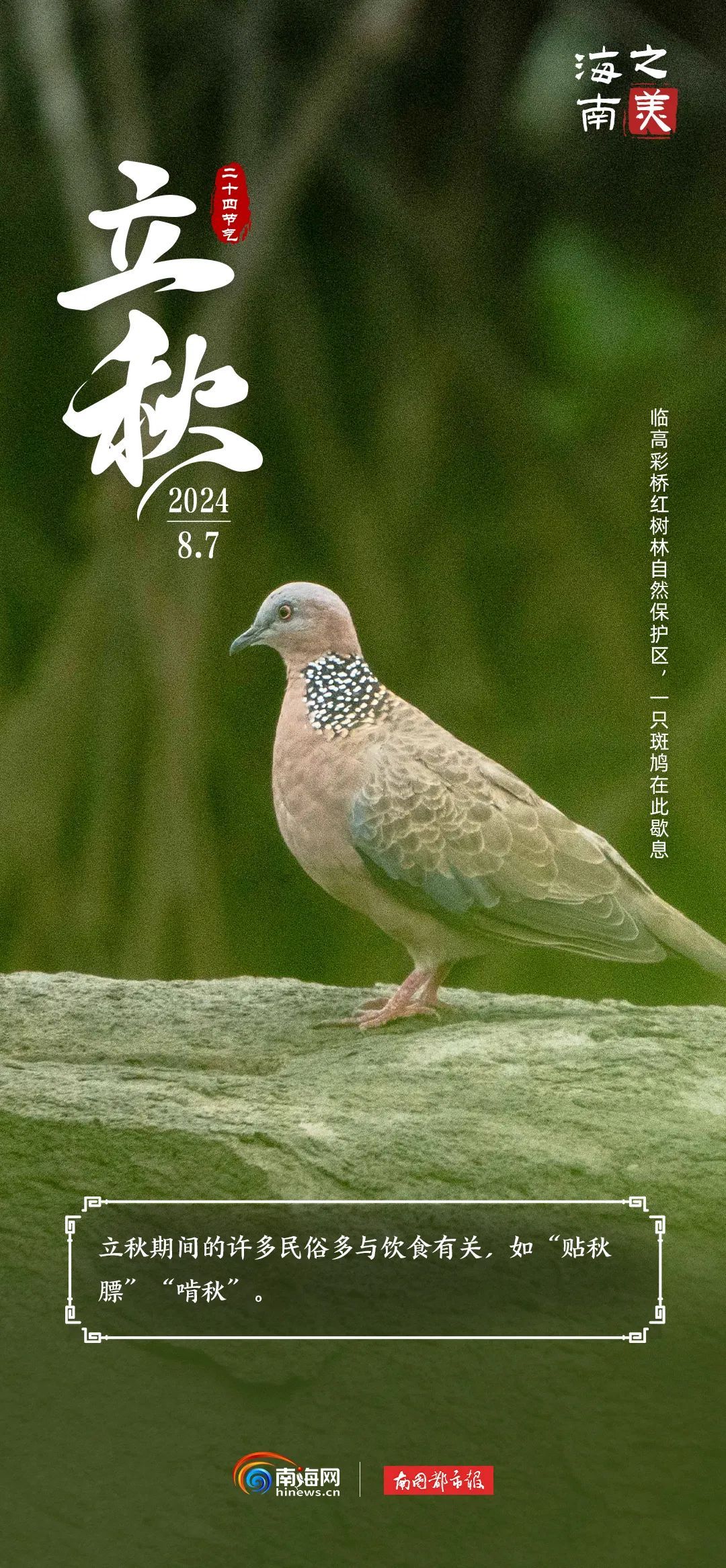 今日立秋 | “秋老虎”上线，海南这群“朋友”是懂避暑的