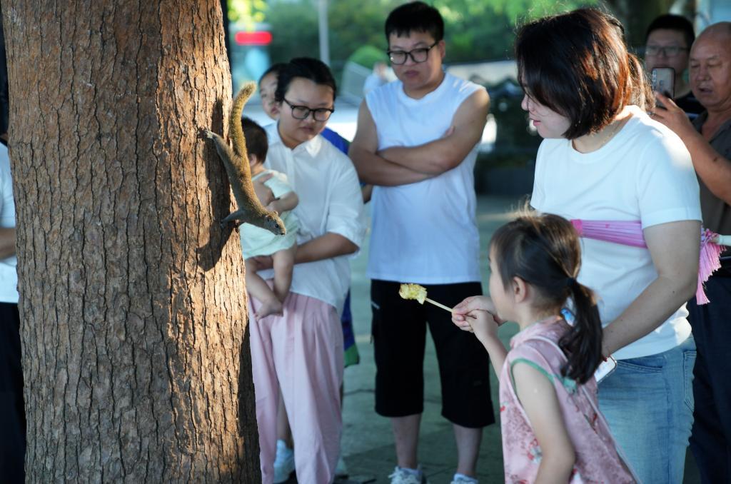 新闻直击:杭州,40摄氏度+! 新闻直击:杭州,40摄氏度+!