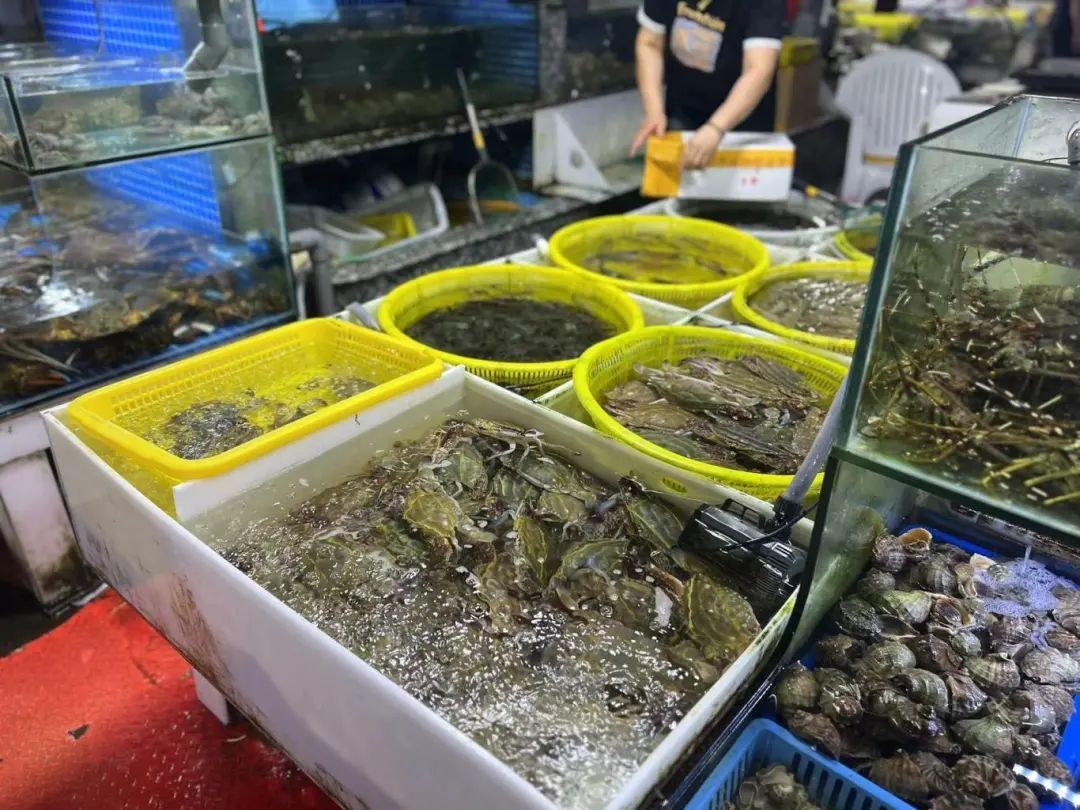 近百元一斤？快速下跌！浙江有市场一天卖出15万斤，台州的情况是...