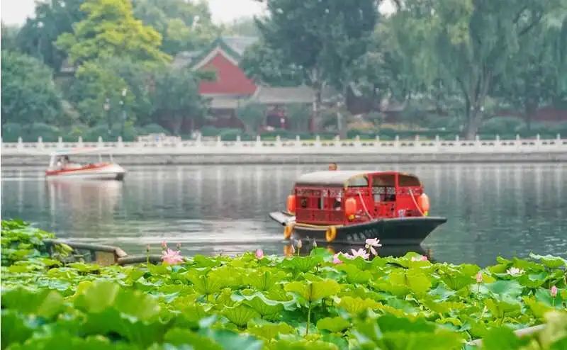 今日立秋 | 夏日浮躁终将云淡风轻,你看,不知不觉间,秋来了 今日立秋 | 夏日浮躁终将云淡风轻,你看,不知不觉间,秋来了