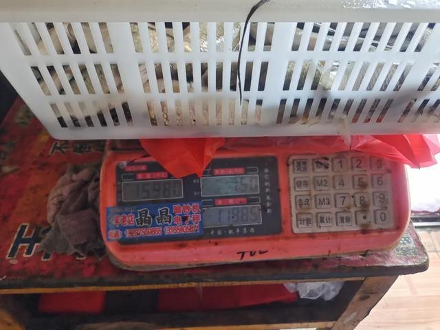 事发聊城，深夜非法电鱼，2人被抓……