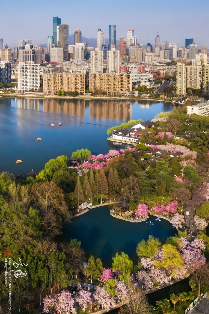奥运期间，南京成为法国人反向旅游热门目的地