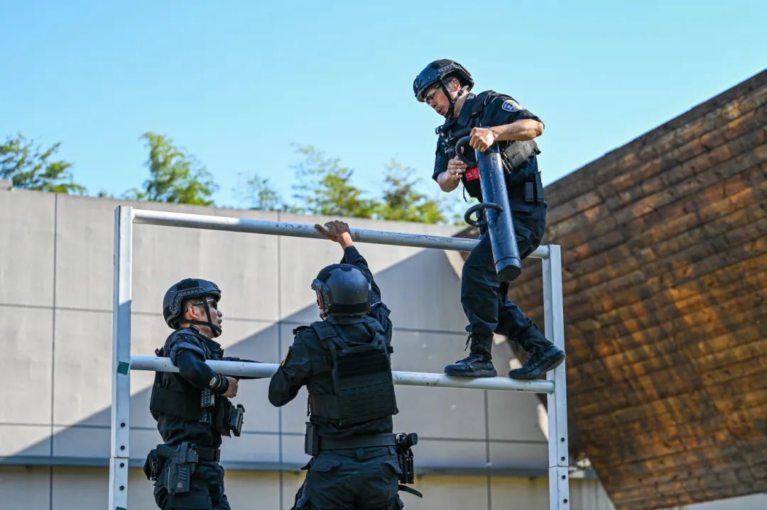 三伏天的硬汉!直击特警练兵现场! 三伏天的硬汉!直击特警练兵现场!