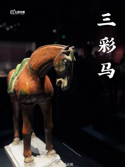 到银川总要去趟宁夏博物馆吧