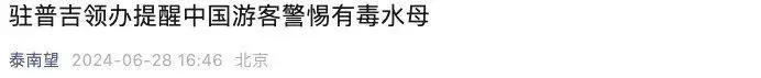上百人被蜇伤！海边不起眼的“小透明”，杀伤力竟然这么大！紧急提醒