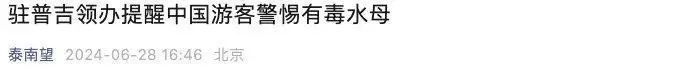 海边不起眼的“小透明”，杀伤力竟然这么大