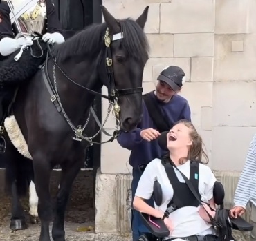 伦敦街头抚慰坐轮椅的女士,英国国王卫队一匹马走红 伦敦街头抚慰坐轮椅的女士,英国国王卫队一匹马走红