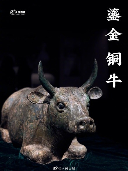 到银川总要去趟宁夏博物馆吧